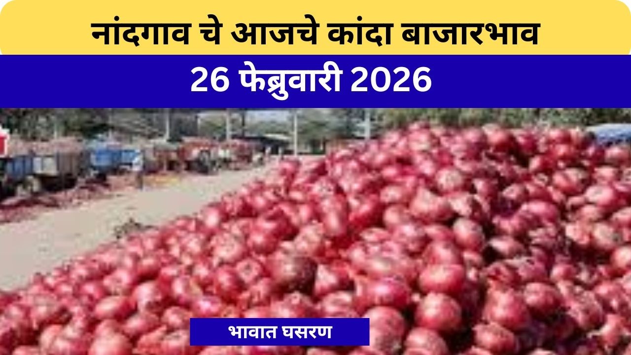 नांदगाव Nandgaon Market Onion Rates: कांदा बाजार भाव 26 February 2026 #vegwansheti