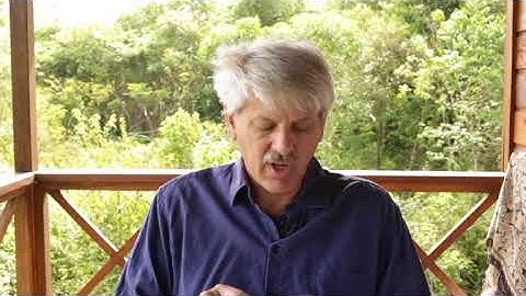 Edge of Extinction: Elaborating on "This is Probably It"