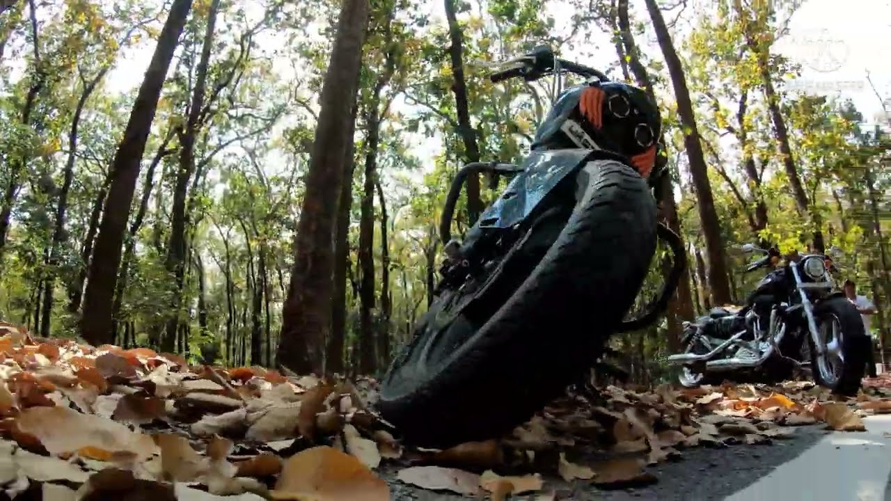 Harley fat bob.../ Harley custom 1200.../ harley street 750 custom