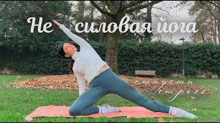 Мягкая йога для расслабления и гармонии | Растяжка и дыхание для начинающих