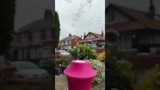 Bubbles Over Our Spring Flower Blooms Cherry Blossoms Oddly Satisfying Video Fun Adventure