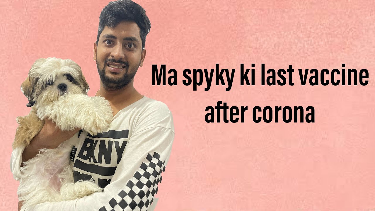 Ma spyky ki last vaccine || Raviganjam vlogs