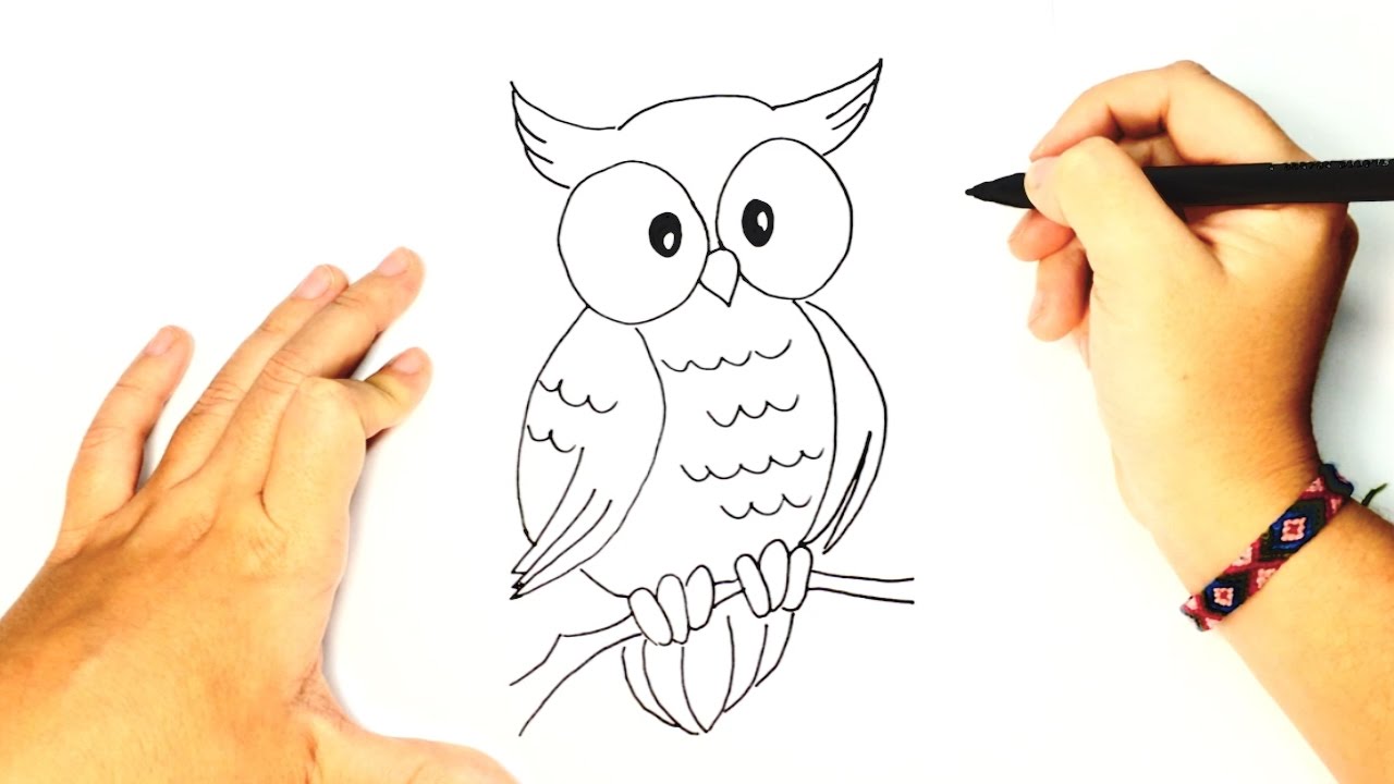 How To Draw A Owl For Kids Cute Owl Drawing Lesson Step By Step