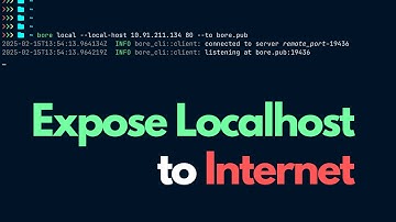 expose localhost to the internet with just one command