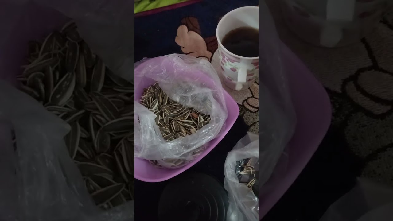 مش كتابه اسماء ولا حل الغاز اجمعوا وخلاص