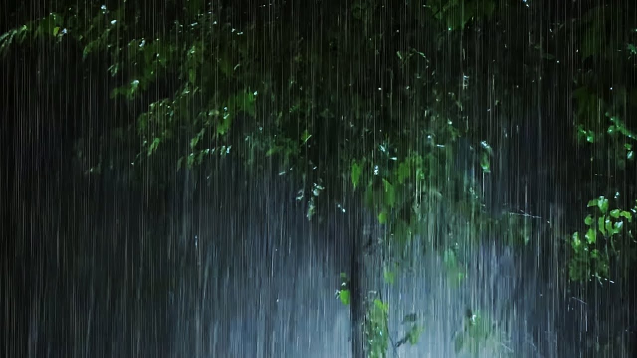 Детский шум дождя. Звук дождя. Красивый звук дождя. Звуки грозы и дождя слушать.
