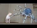 Dogs vs Giant Spider Prank: Funny Dogs Maymo, Penny, & Potpie