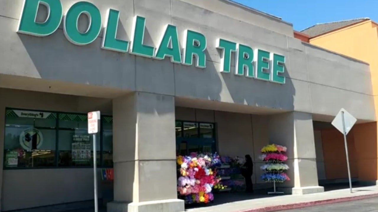 DOLLAR TREE HAUL 5-12-17