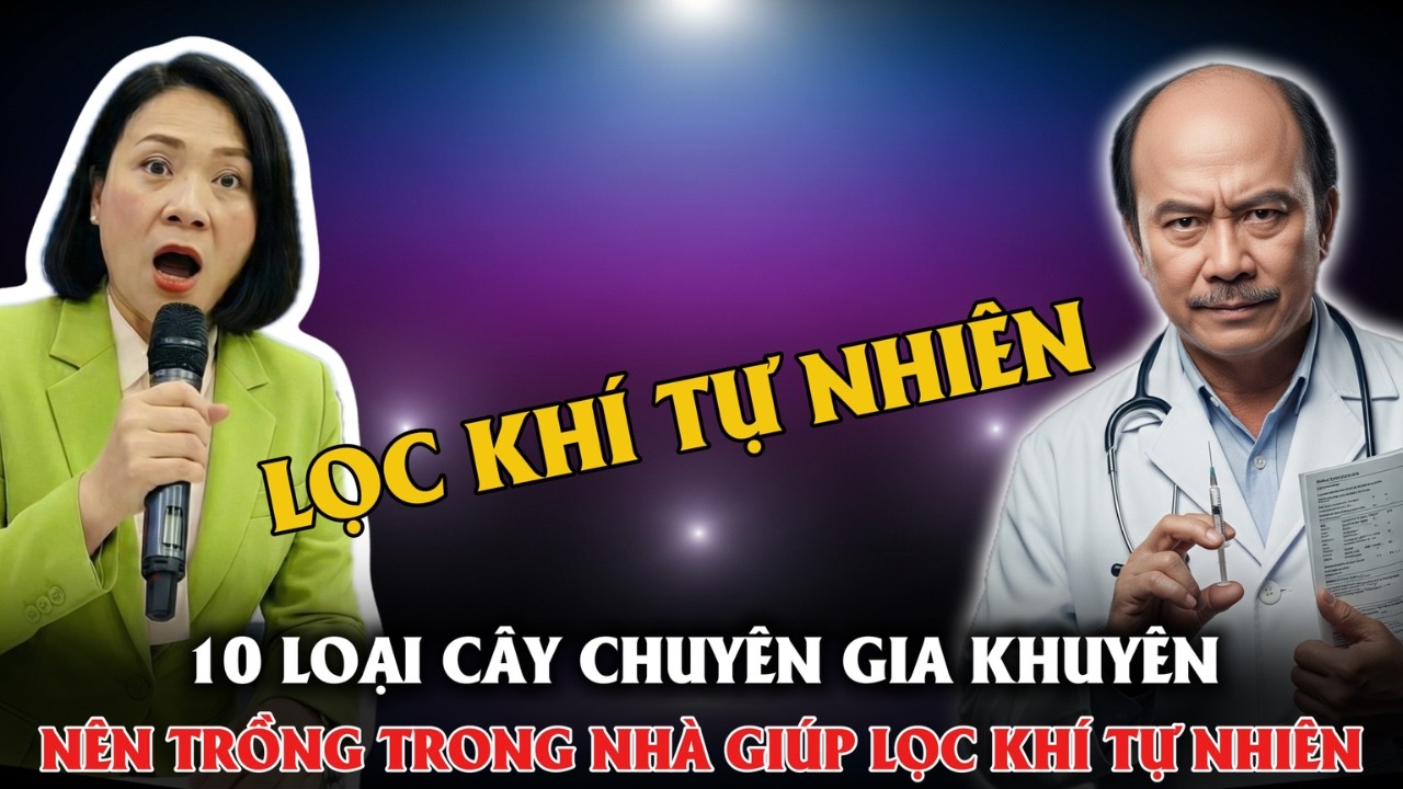 LỌC KHÍ TỰ NHIÊN 10 LOẠI CÂY NÊN TRỒNG TRONG NHÀ