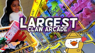 Minnesota’s Largest Claw Arcade 🕹️ | Asian-Themed Fun!