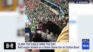Famous Bald Eagle Lands on Two Fans at Football Game | Weird Things Profile
