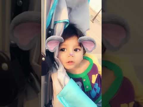 رايف حبيب الكل