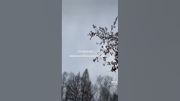 Thumbnail of Максим и Егор крид