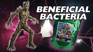 Root Life Microbes | Beneficial Bacteria to Strengthen Your Plants' Roots