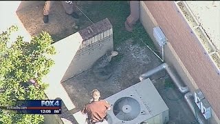 Gator caught at Texas school