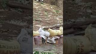 T.A.BALRAJ.MADIBAN GALANY(4)