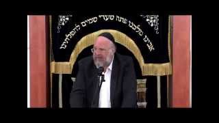 הרב ברוך רוזנבלום פרשת צו 8 תשע״ה Rabbi Baruch Rosenblum