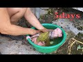 Little monkey tiki takes a relaxing bath after being sick for a while