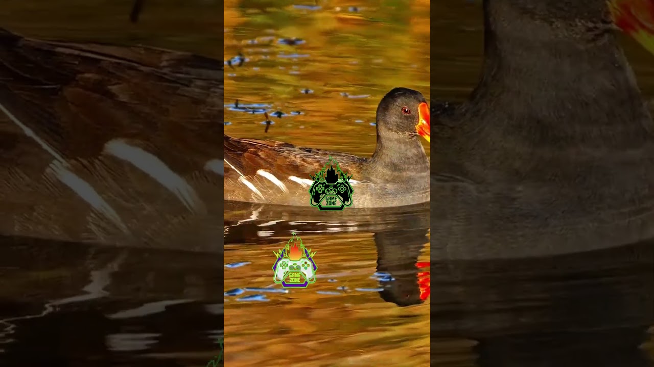 5330 Your next favorite game is here! 📱 