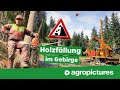 Holzernte mit seilbahn am steilhang  tst forestry 600 gebirgsharvester und tst timbernator