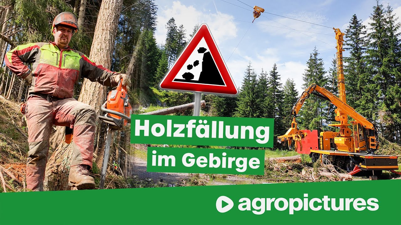 Holzernte mit Seilbahn am Steilhang | TST forestry 600 Gebirgsharvester und TST Timbernator