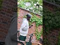 Guvna B on the the Riese &amp; Müller Load4 75| Fully Charged