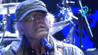 Aku Bukan Pilihan Di Perayaan Karya Iwan Fals