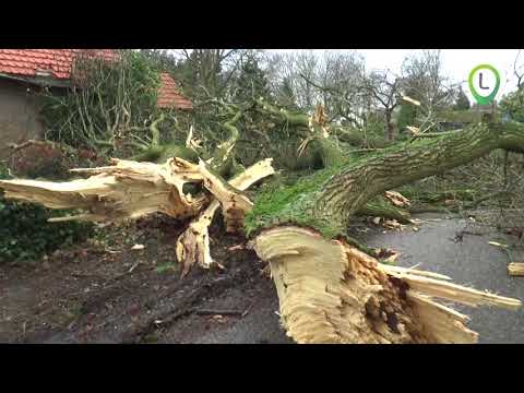 Hevige storm in de gemeente Oldebroek