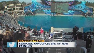 SeaWorld sees revenue decline again