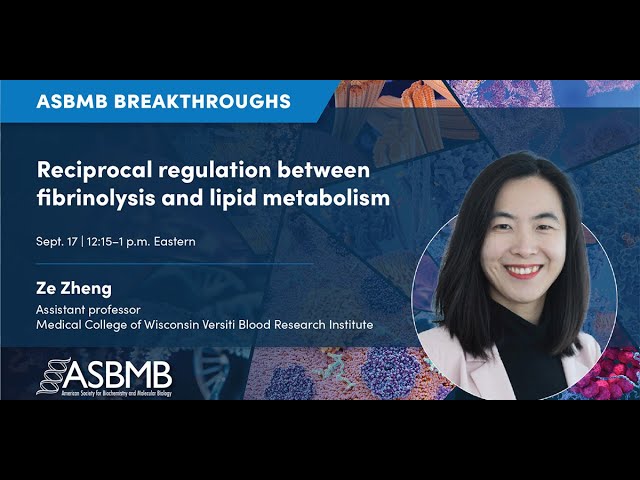 Reciprocal regulation between fibrinolysis and lipid metabolism