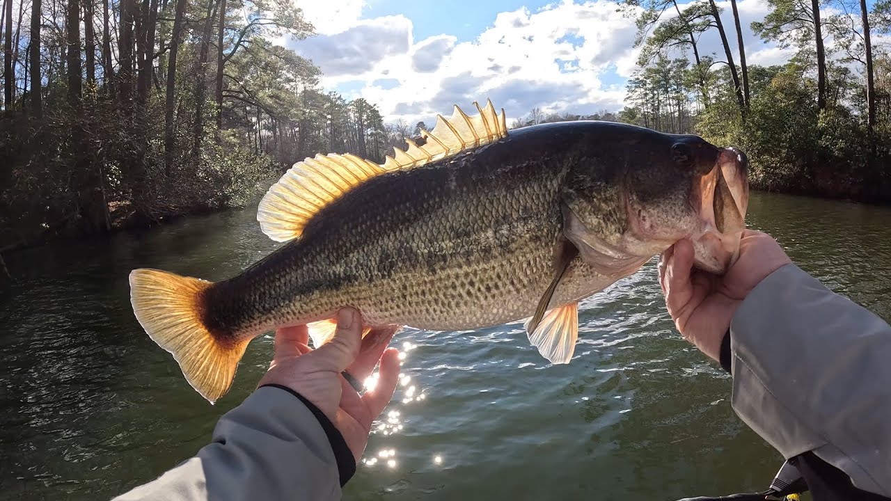 Can I win my first BASS TOURNAMENT of 2026?