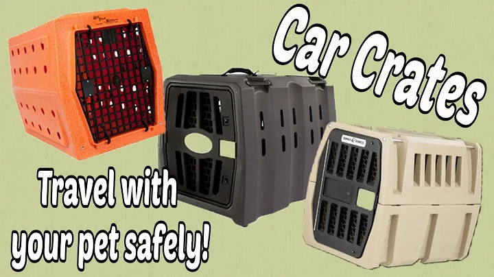 Choose the Perfect Car Crate for Pet Safety