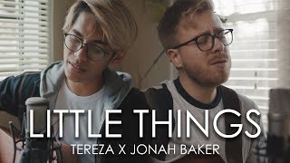 One Direction - Little Things (Tereza & Jonah Baker Cover)