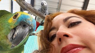 a tour of my animal sanctuary
