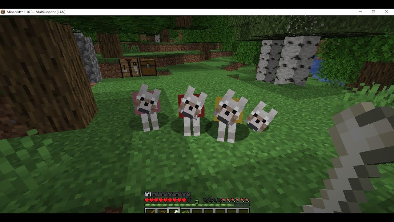 Nuestro ejercito 😆!!.Minecraft survival ep5 - YouTube