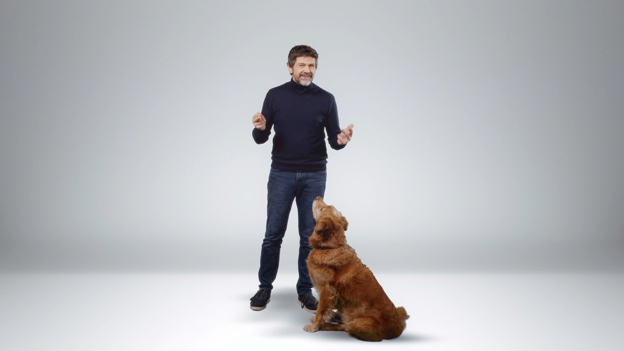 En 2026, VIA MEDIA présente sa nouvelle IA : "Chien GPT"