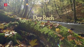 Der Bach - Doku [HD]