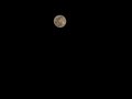 #purnima #maghi #moon