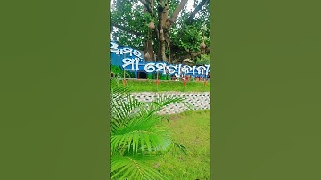 Sambalpuri Mini vlog ❤️ Day-5 #minivlog #sambalpurivlogs #vlog