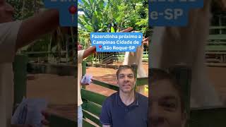 Local Fazenda Angolana São Roque-SP #fazendinha #brinquedos #achadoscombruno
