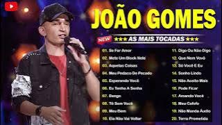 João Gomes Cd Completo 2024 | As Melhores Músicas Novas 2024 | Top Sertanejo 2024