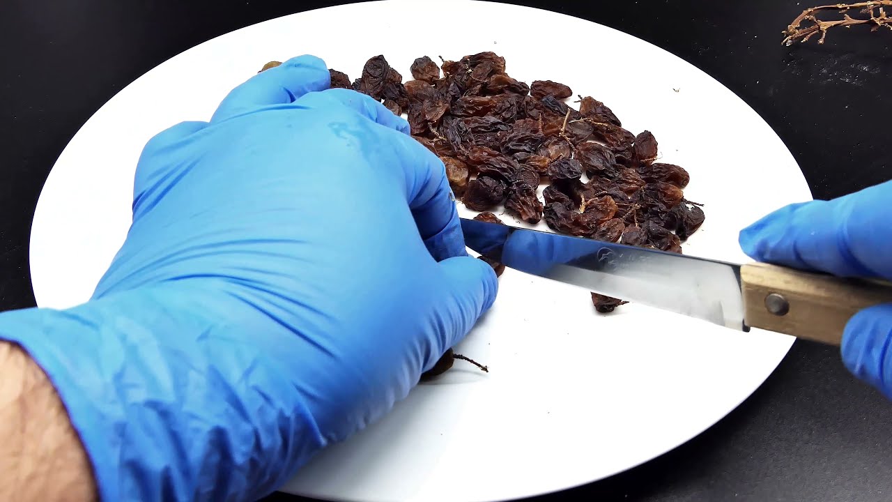 Grapes to raisins in 53 days Time Lapse 4K YouTube