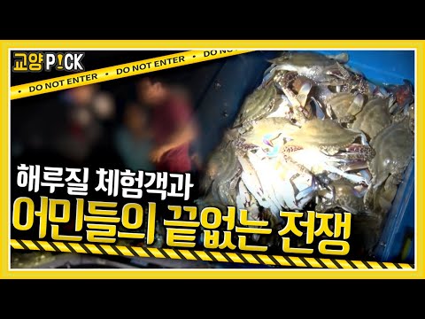 [교양 <strong>PICK</strong>] 해루질 체험객들 <strong>VS</strong> 양식장 어민들! 밤낮없이 벌어지는 끝없는 다툼! KBS 191003 방송