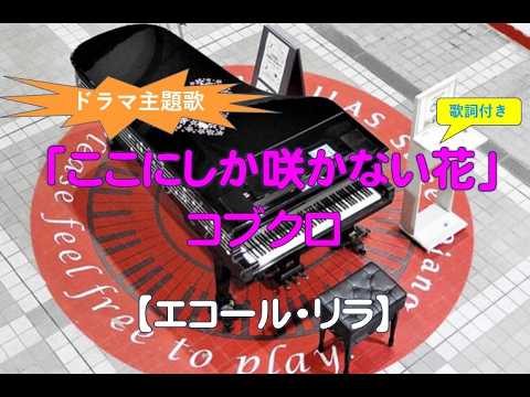 【エコール・リラ】コブクロ・ここにしか咲かない花（2024 07 23）