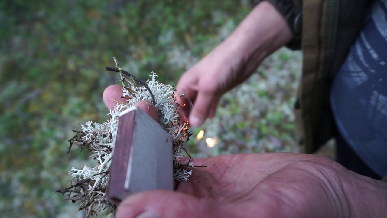 Ягель - YouTube