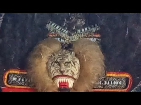 Hebat Banget Lurr ‼️Atraksi 2 Solah Super Keren Barongan Reog Bikin Gempar Penonton