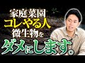 土が育たない人はすぐ見て　知った方が良い微生物の弱点【家庭菜園 土づくり ガーデニング 微生物】