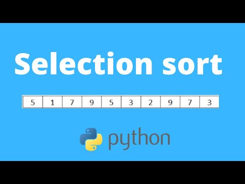 Spiegazione Selection Sort in 10 minuti - con codice