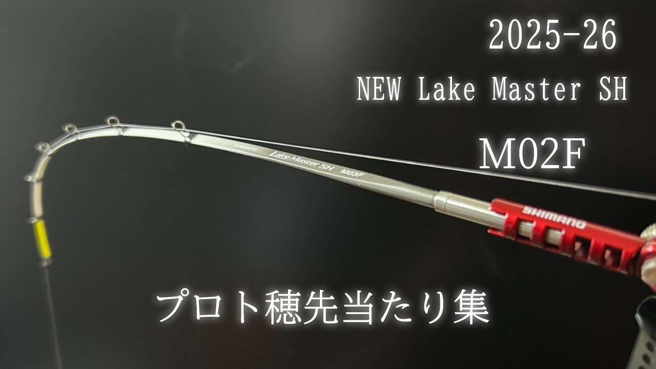 Smelt Fishing] Shimano NEW Lake Master SHM02F Smelt Fishing Tip