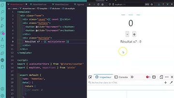 A2022 16D VueJs Pinia